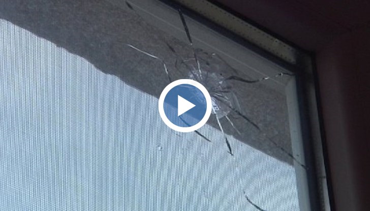 Семейството живее от година в имота и казват, че нямат проблеми със съседи