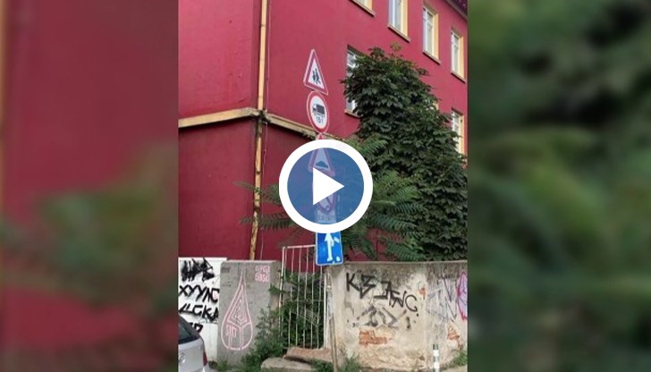 Експерт по пътна безопасност даде няколко примера за фалшиви знаци, които нямат светлоотразители и обясни, че това може да доведе до трагедия на пътя, защото шофьорът просто няма да ги види