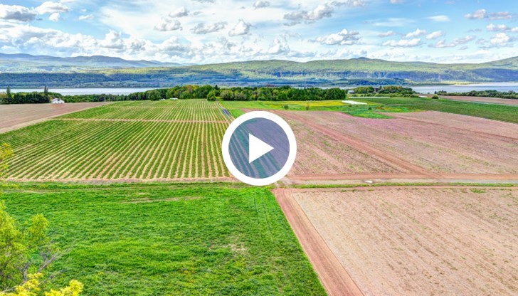 Коронакризата удари пазара на земя у нас