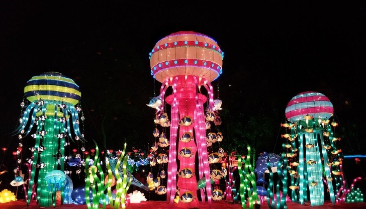 Държави в Азия, Африка и Южна Америка честват Новата година по местен календар Държави в Азия, Африка и Южна Америка честват Новата година по местен календар