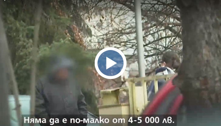 Пандемията промени незаконния пазар и търговците на кръв вече продават и плазма