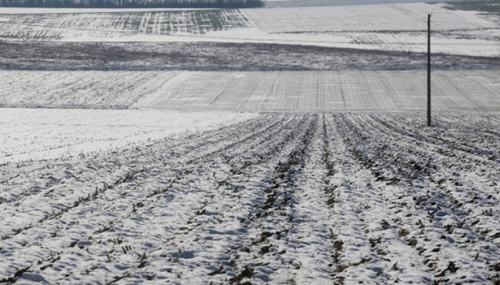 Синоптиците няма как да сбъднат очакванията на земеделците за дебел сняг и здравословен мраз в първия месец от новата 20201 година