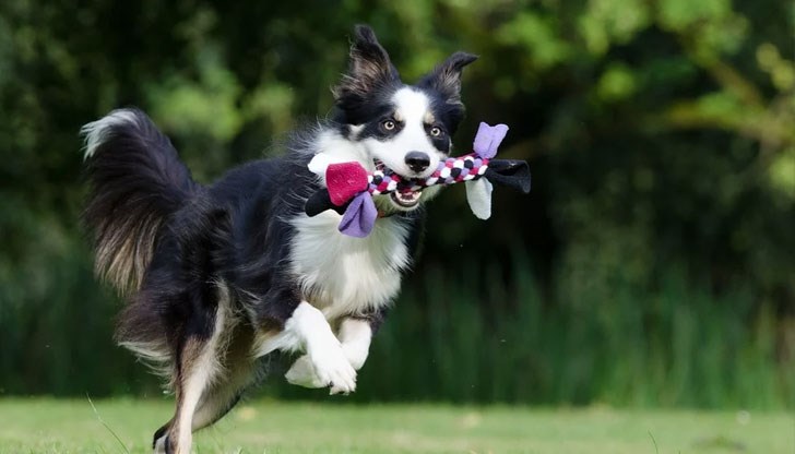 Припомнят кои стопани са освободени от 25 лева такса