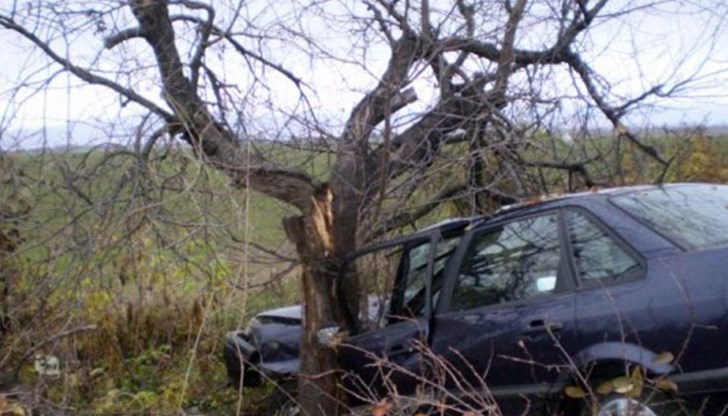 Шофьорът се е блъснал в дърво /Снимката е илюстративна/ Шофьорът се е блъснал в дърво /Снимката е илюстративна/