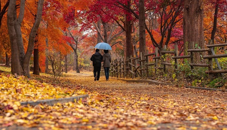Хората, които се разхождат в парк или гора намаляват стреса и са по-устойчиви защитни сили