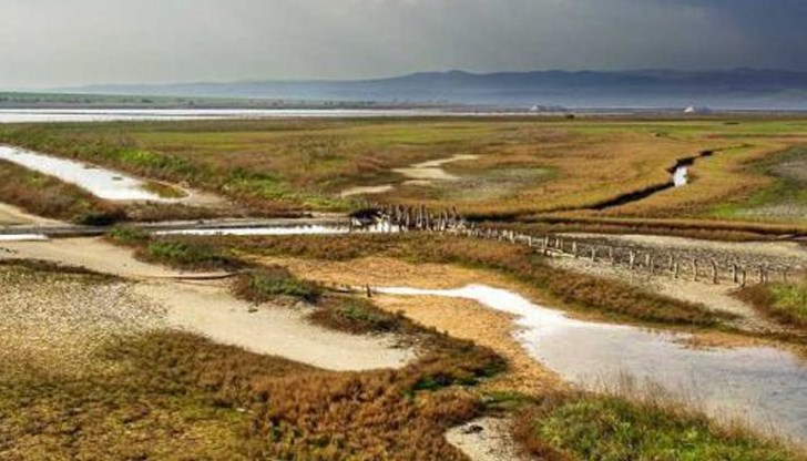 Световният ден на влажните зони се отбелязва всяка година на 2 февруари Световният ден на влажните зони се отбелязва всяка година на 2 февруари
