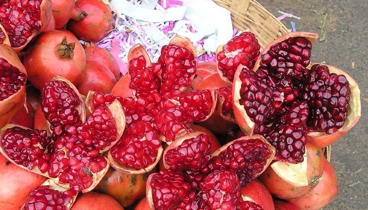 Освен Арменската апостолическа православна църква на пети и шести януари Бъдни вечер и Коледа празнуват християните от Руската, Украинската, Сръбската и Йерусалимската православна църква и Света гора, Черна гора, Македония, в Северно Косово, в Босна и Херцеговина. Освен Арменската апостолическа православна църква на пети и шести януари Бъдни вечер и Коледа празнуват християните от Руската, Украинската, Сръбската и Йерусалимската православна църква и Света гора, Черна гора, Македония, в Северно Косово, в Босна и Херцеговина.