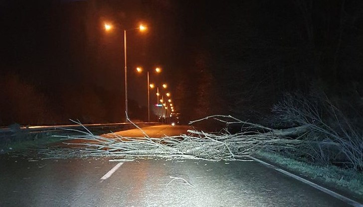 Клони препречват пътя, като шофьорите трябва да бъдат изключително внимателни. От снимката се вижда, че участъкът е  заскрежен