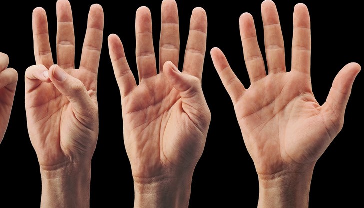 Повечето от нас притежават три главни линии, но тяхната дължина, дълбочина, издаденост и количество зависят от гените ни