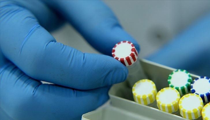 Д-р Мехмет Серхан Куртулмуш е започнал работа през март и е приключил през ноември Д-р Мехмет Серхан Куртулмуш е започнал работа през март и е приключил през ноември