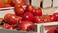 Търговци ни мамят с "български" розови домати