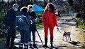 Община Русе осигурява безплатно чипиране на домашните любимци