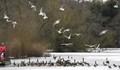 Темза замръзна за пръв път от 60 години заради Звяра от Изток