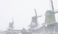 Невиждана от 10 години снежна буря връхлетя Нидерландия