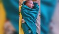 Близо 5-килограмово бебе се роди в Пловдив