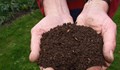 Как да стабилизираме почвата с азот?