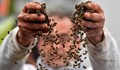 Пчелари обявиха готовност за протест