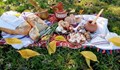 Фолклорният празник "Греяна ракия и зелева чорба" в Бабово се проведе онлайн
