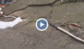 Нов протест заради опасни кабели в София