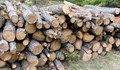 На 6 домакинства в Русенско съставиха 12 акта за незаконна дървесина