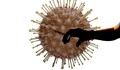 227 са новите случаи на коронавирус у нас