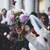 Полиция прекъсна сватбено тържество в Берлин със сълзотворен газ