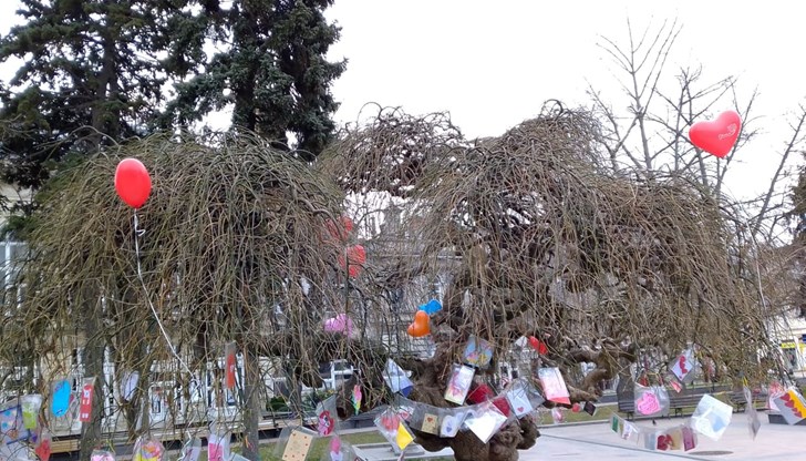 Традиционният конкурс „За най-креативно послание за любовта и приятелството"  украси с красиви картички и послания короната на Дървото на влюбените