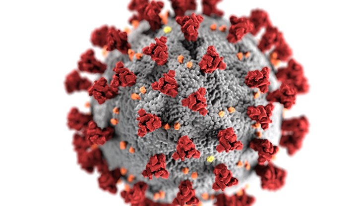 Прогнозата на Националния здравен институт в България е той да стане доминиращ