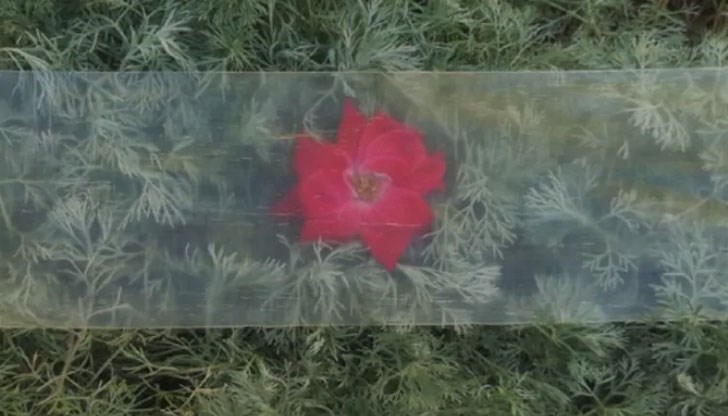 Материалът дори превъзхожда обикновеното стъкло по отношение на прозрачността Материалът дори превъзхожда обикновеното стъкло по отношение на прозрачността