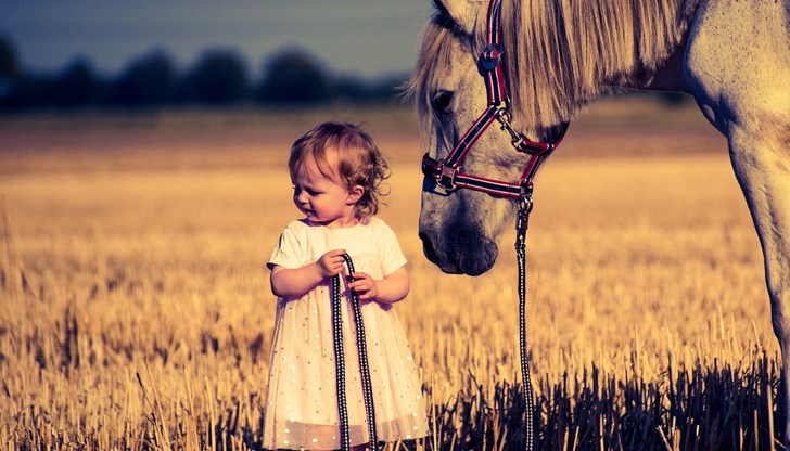 Детето е било на разходка с майка си в неделния ден и играело на поляната, където на паша били и стадо коне от дребната порода