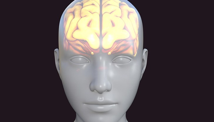 Нови изследвания разкриват връзката между вируса и последващи неврологични заболявания Нови изследвания разкриват връзката между вируса и последващи неврологични заболявания