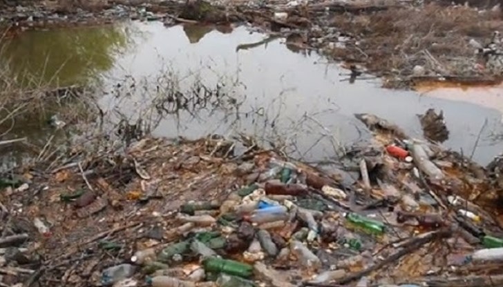 Боклуците от Дунава директно отиват в Черно море Боклуците от Дунава директно отиват в Черно море