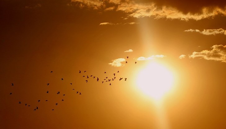 За втори пореден ден в Хасково се отчита температурен рекорд За втори пореден ден в Хасково се отчита температурен рекорд