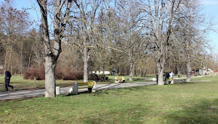 В момента се работи по прочистване на подрасти и премахване на сухи и паднали клони от лявата страна на централния вход в парка В момента се работи по прочистване на подрасти и премахване на сухи и паднали клони от лявата страна на централния вход в парка