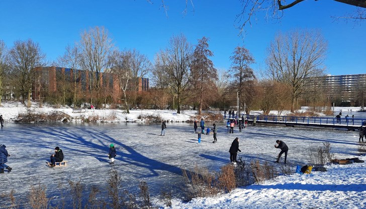 В град Еде всички шейни са изкупени от магазините