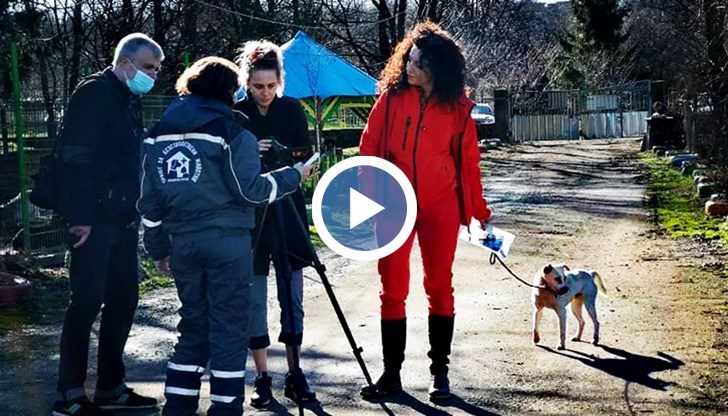 В приюта може да се извърши и безплатна кастрация на домашното животно при желание от собствениците, които в този случай се освобождават от такса