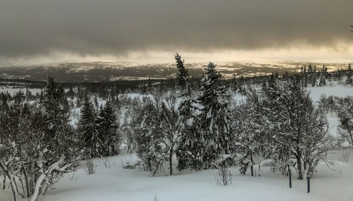 Превалявания от дъжд и мокър сняг, в отделни райони са възможни поледици тази нощ