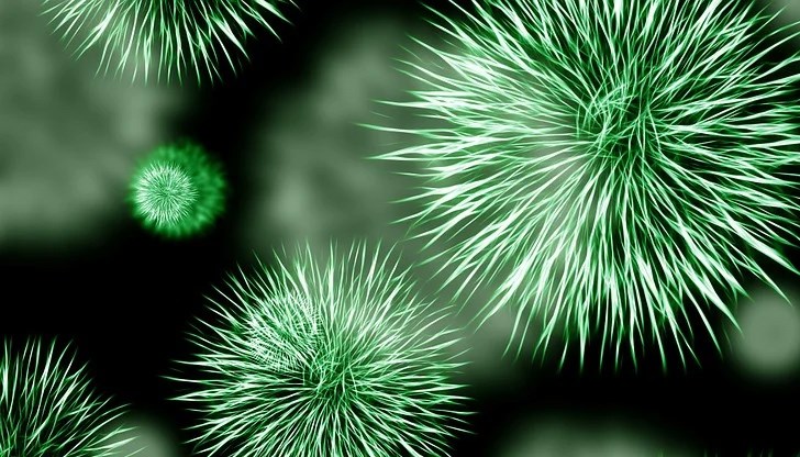 Глобалното разпространение на чревните грам-отрицателни мултирезистентни микроби (MDR-GN) представлява сериозна заплаха за човешкото здраве в световен мащаб.