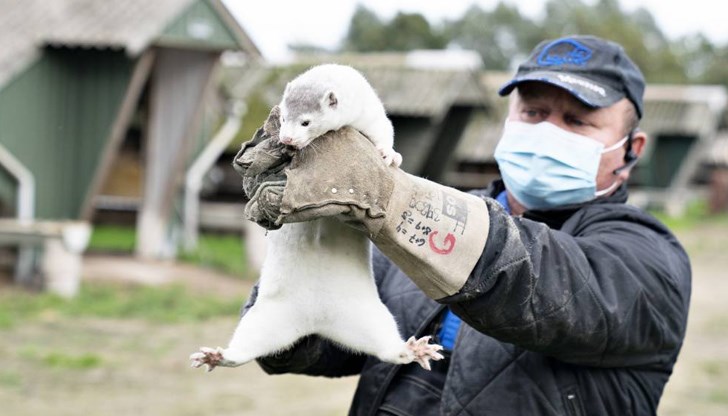 Това бе съобщено в официалния сайт на полското министерство на земеделието