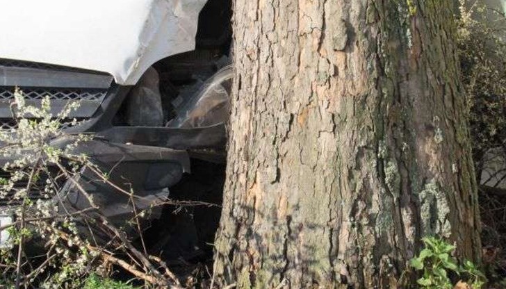 Кола, пълна с младежи, се е блъснала в дърво /Снимката е илюстративна/ Кола, пълна с младежи, се е блъснала в дърво /Снимката е илюстративна/