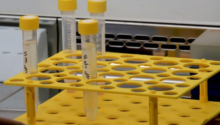 9% са положителните проби от направените 1 852 диагностични теста 9% са положителните проби от направените 1 852 диагностични теста