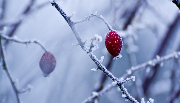 Децата ще карат шейни, ще правят снежни човеци, ще се радват на зимата и студа, а пък ние, по-големите, ще се готвим да плащаме сметките за отполение, които ще скочат неминуемо с това сериозно застудяване