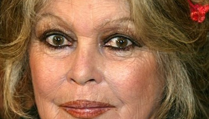 Брижит Бардо предлага четириногите да бъдат пратени в природния парк в Белица, където вече има приютени много мечки, които са танцували в циркове Брижит Бардо предлага четириногите да бъдат пратени в природния парк в Белица, където вече има приютени много мечки, които са танцували в циркове