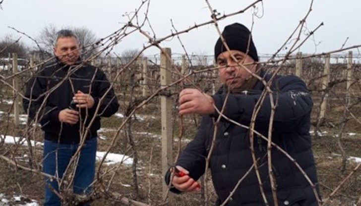 Да е здраве, плодородие и берекет, а бъчвите да са пълни с вино!, пожела областният управител
