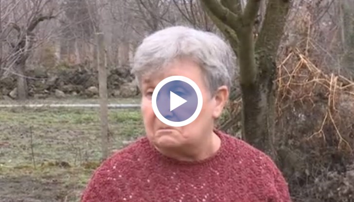 Дворовете пропадат, рушат се селскостопански постройки