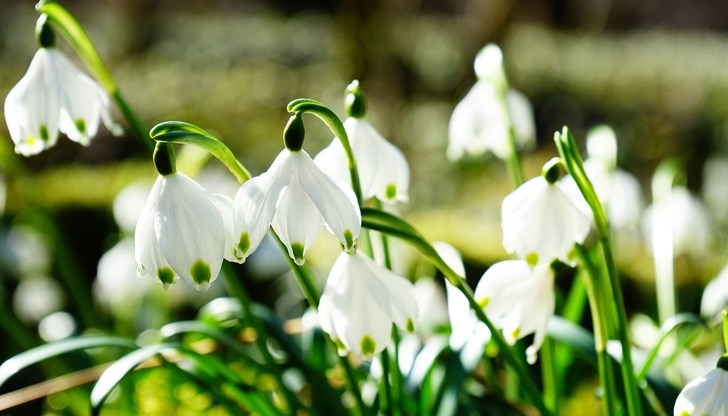 Още в часовете преди обяд видимостта навсякъде ще се подобри и ще бъде не само по-топло от обичайното, но и слънчево Още в часовете преди обяд видимостта навсякъде ще се подобри и ще бъде не само по-топло от обичайното, но и слънчево