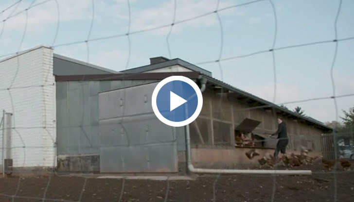 Засега няма данни за предаване на вируса между хора