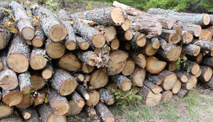 Горските инспектори от РДГ-Русе и полицията направиха съвместни проверки в Русе и Бяла