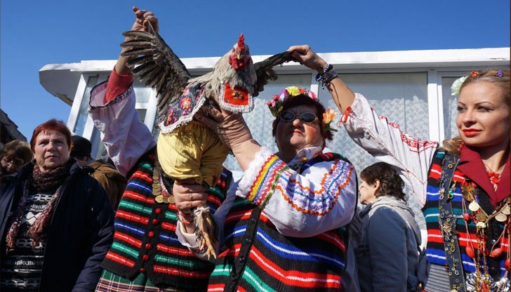 Според традицията днес жертвената птица се заколва на прага, а с кръвта ѝ по челата на момчетата се прави кръстен знак, за да бъдат живи и здрави Според традицията днес жертвената птица се заколва на прага, а с кръвта ѝ по челата на момчетата се прави кръстен знак, за да бъдат живи и здрави