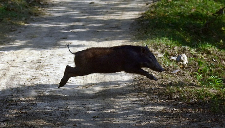 Двама души са настанени в Инфекциозна болница Двама души са настанени в Инфекциозна болница